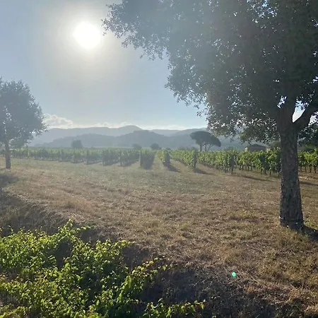 сasa Dell'arancia * San Vincenzo