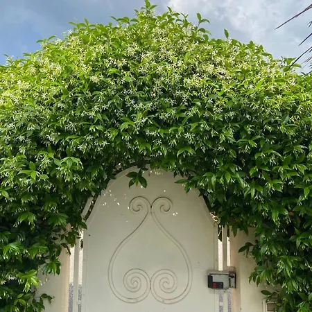 сasa Dell'arancia Holiday home